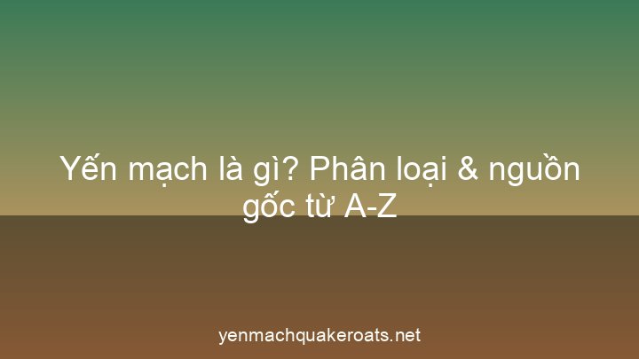 Yến mạch là gì? Phân loại & nguồn gốc từ A-Z